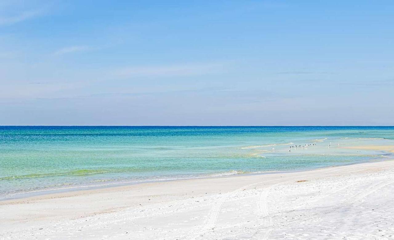 Ocean 803 Holiday home